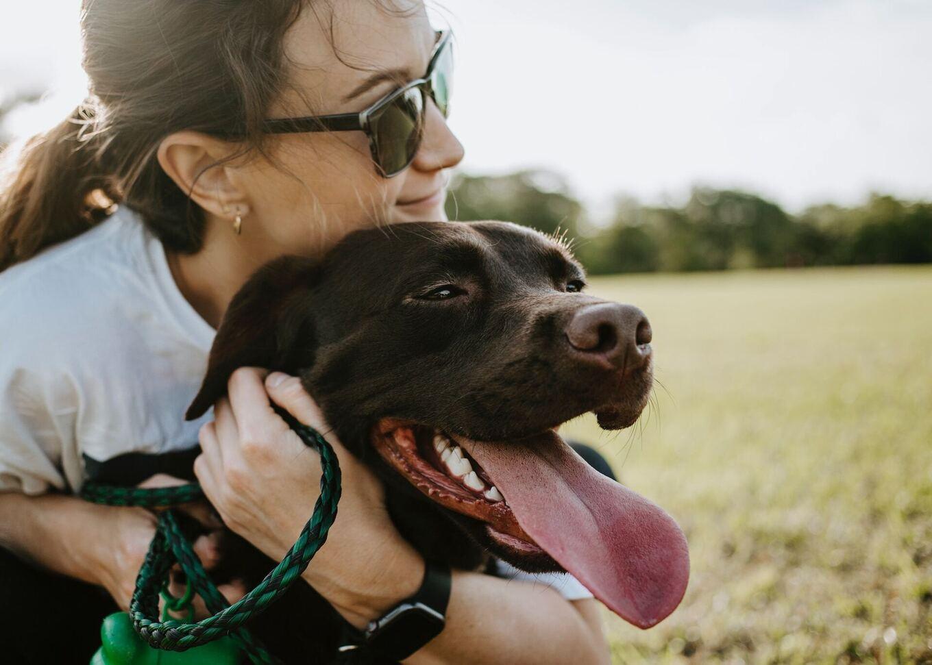 VegNews.VeganDogs.Unsplash