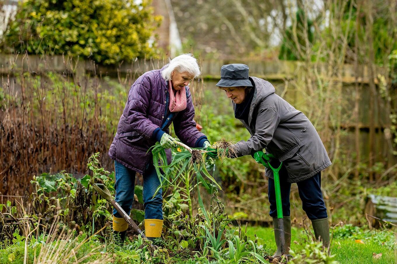 VegNews.Gardening.Pexels