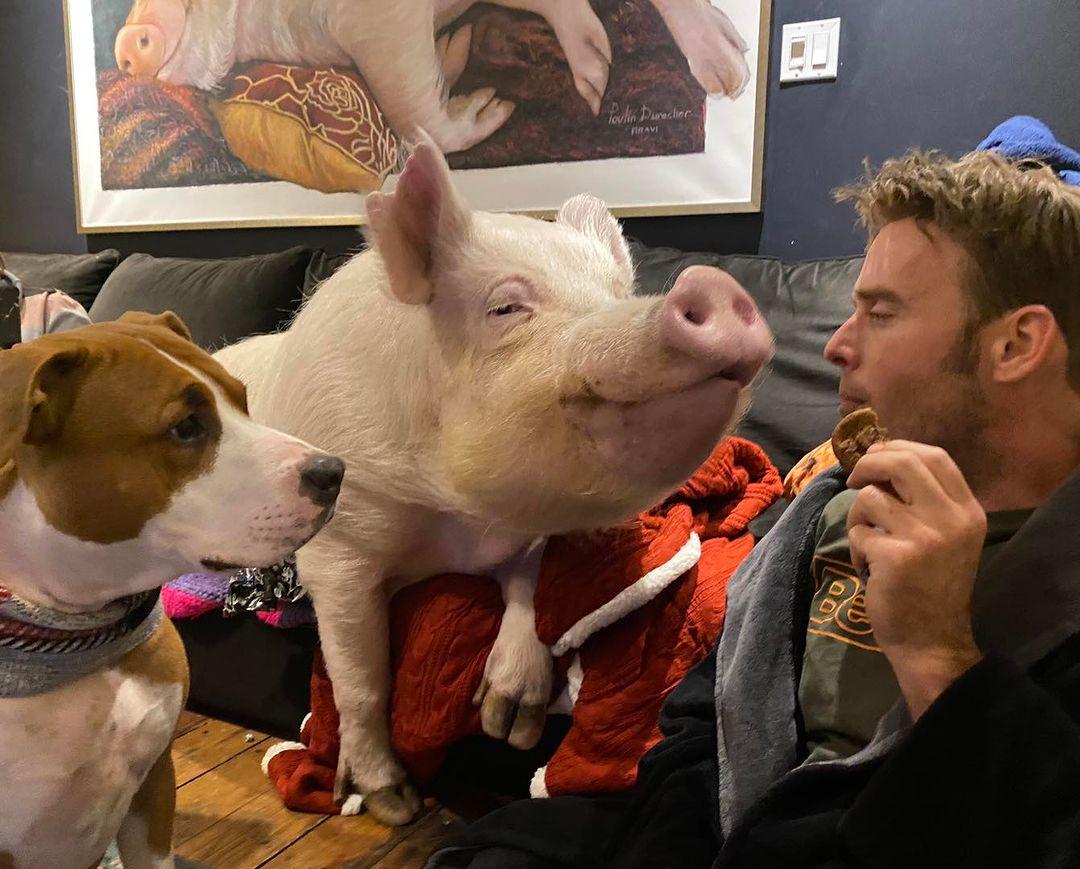 VegNews.estherthewonderpig