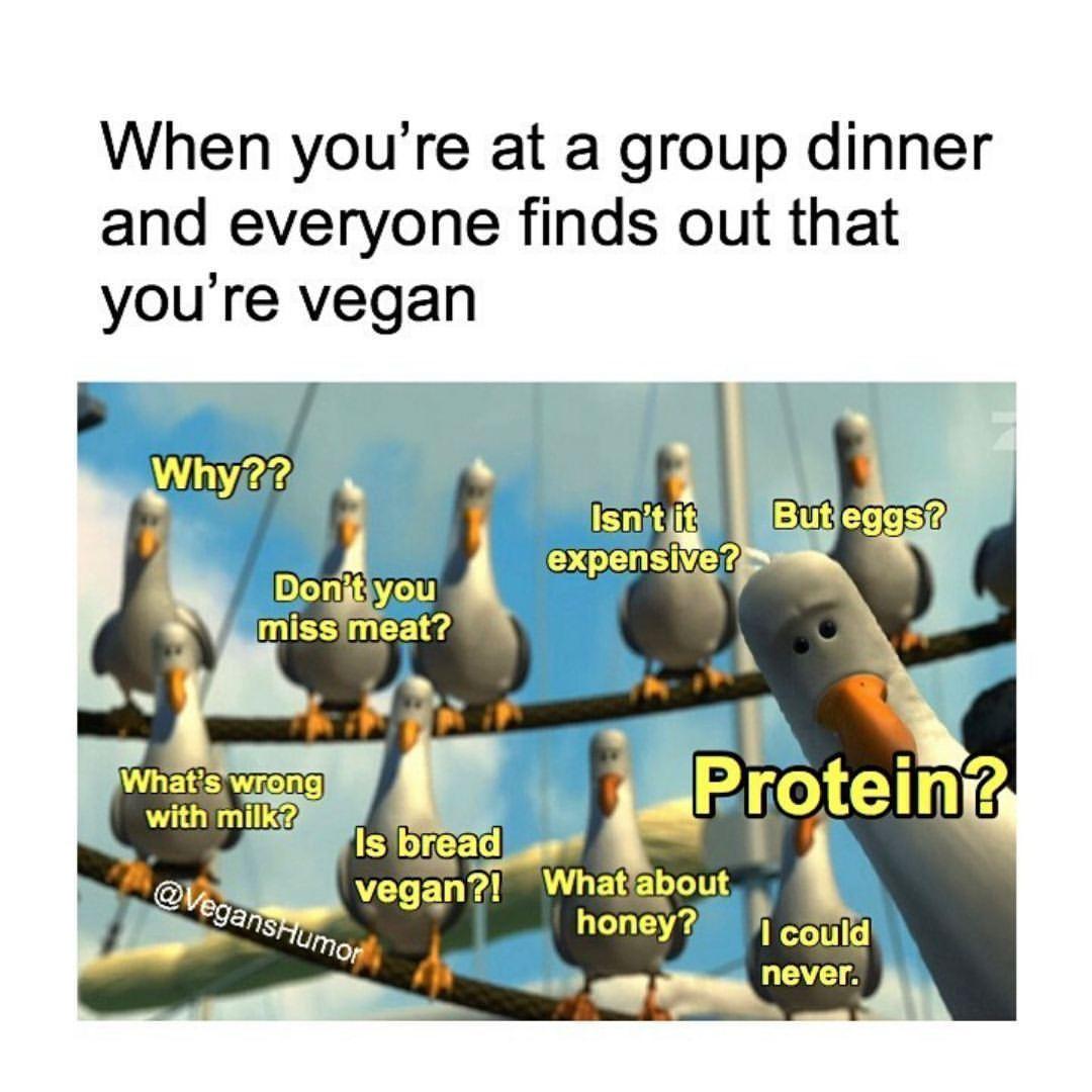 VegNews.veganmeme.veganshumor