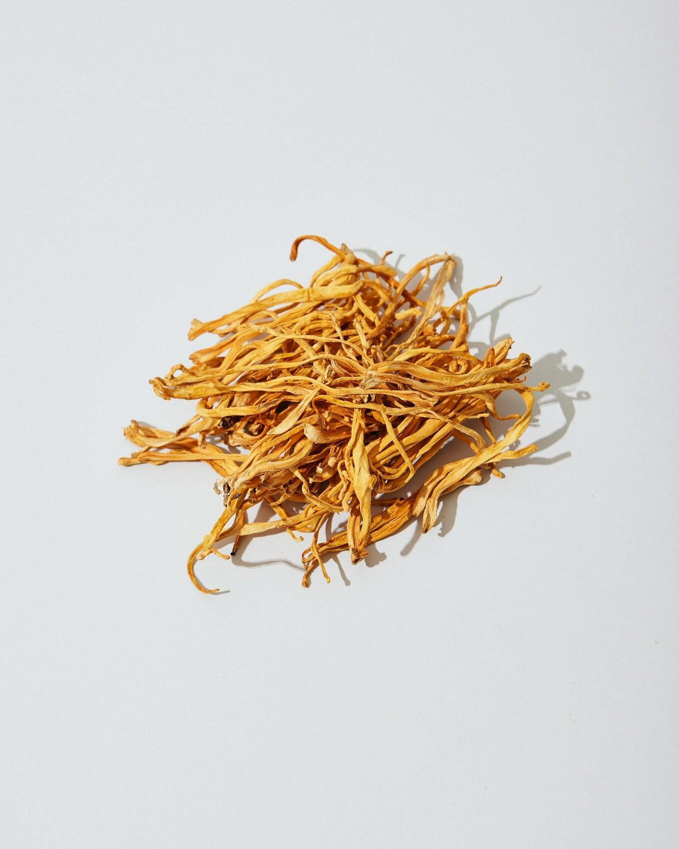 VegNews.Cordyceps.NoonBrew.Unsplash