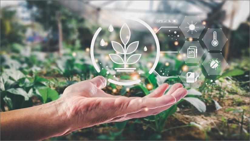 Investment and innovation outlook for North America in 2025