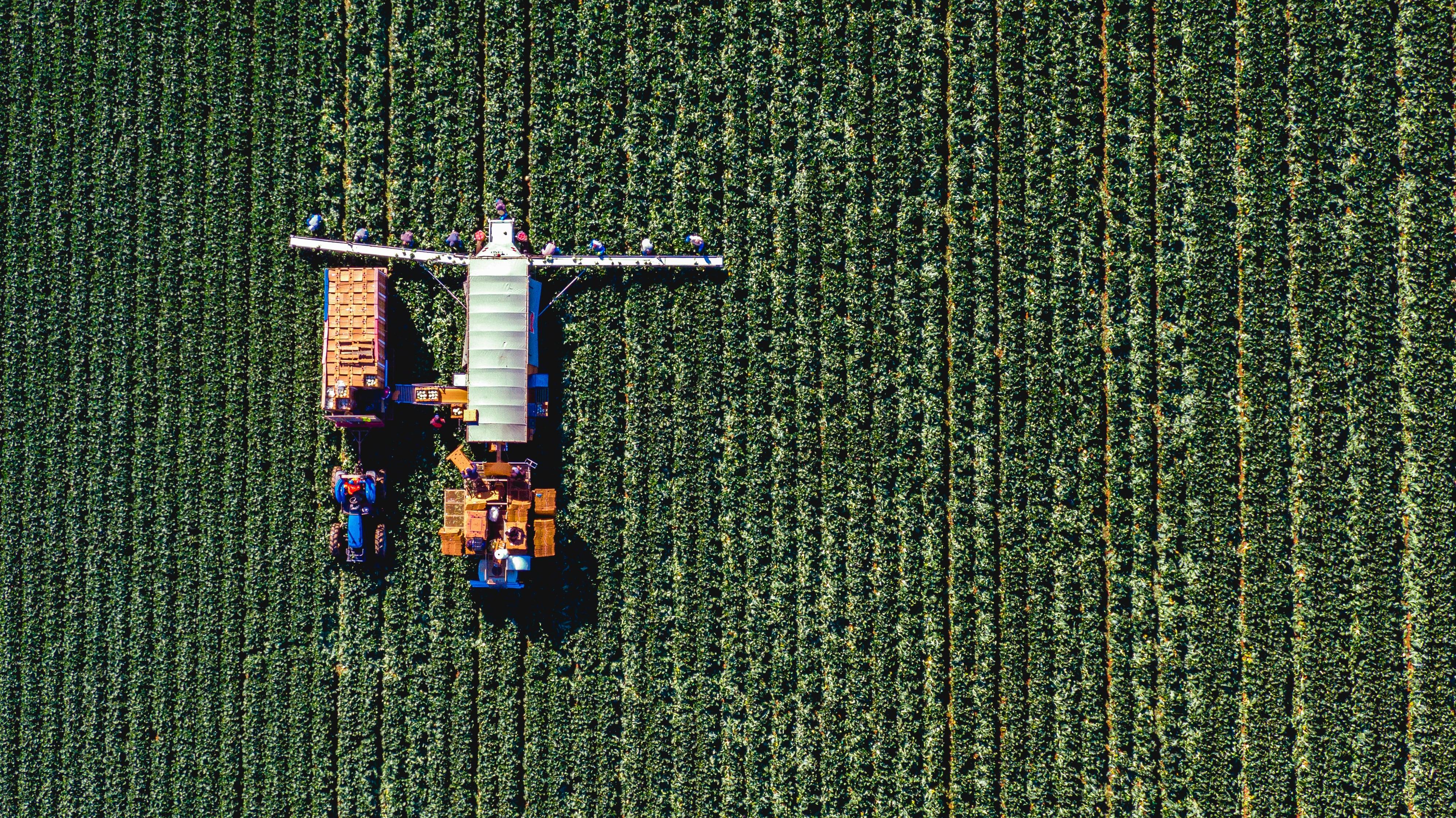Agfintech start-up Growers Edge seeks to scale after $25M fundraise 