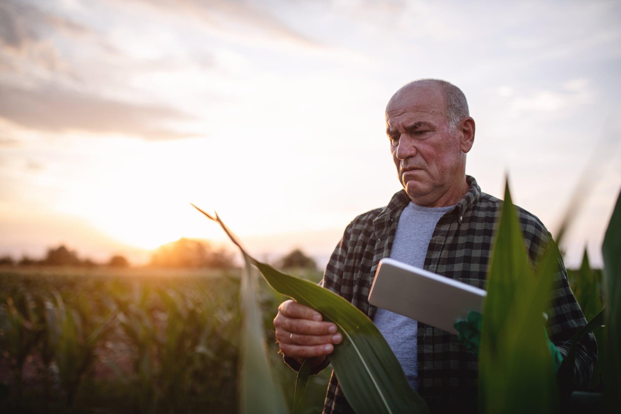 ‘Fear of finance rejection’ stalks adoption of innovative farming practices