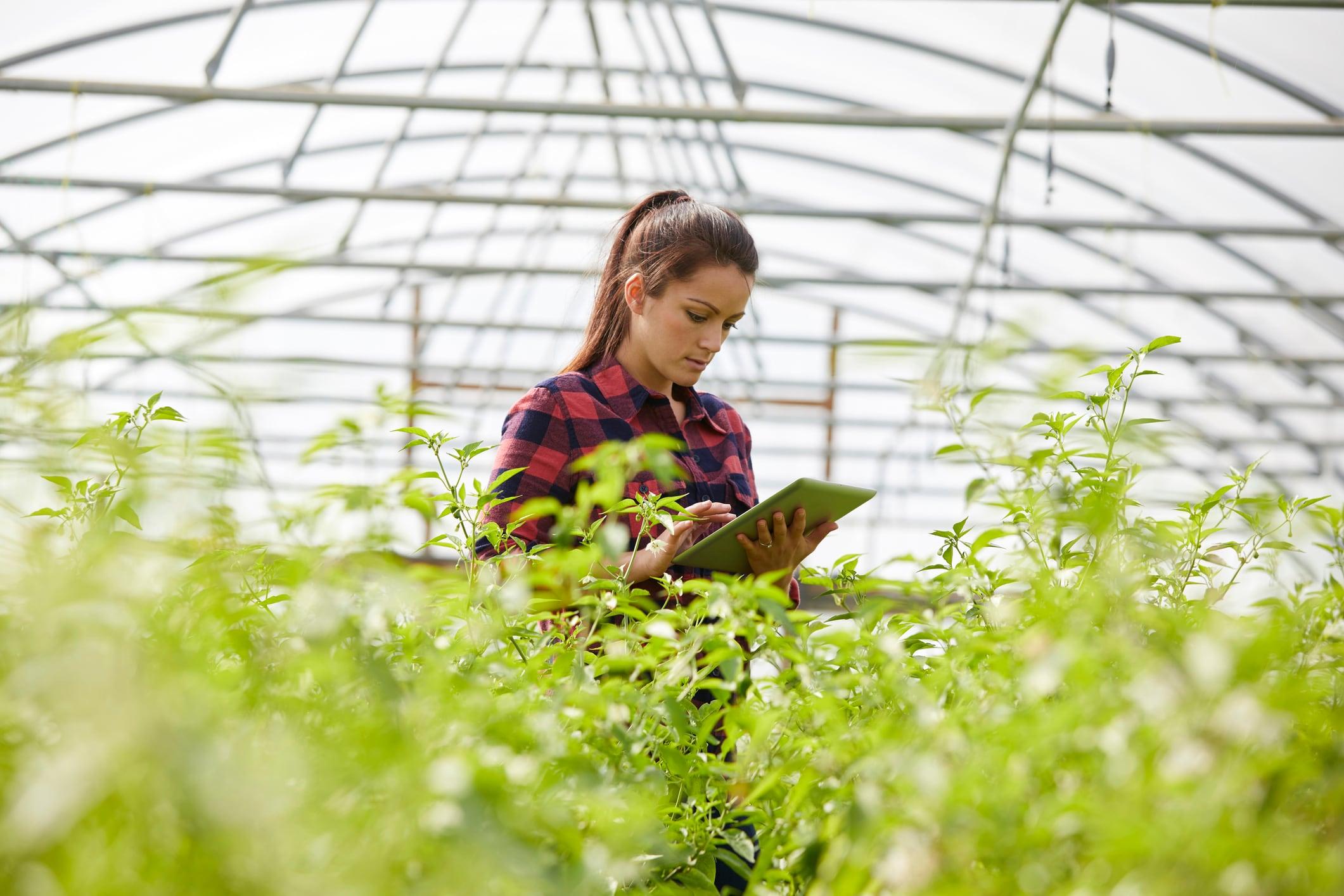 Future of farming depends on open sharing of agricultural data, says CGIAR chief scientist