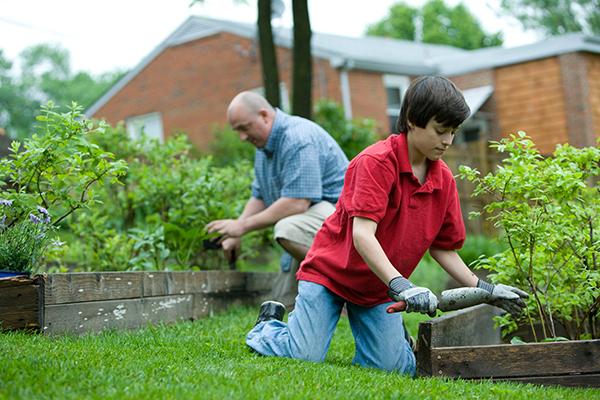 home-gardening