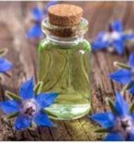 borage oil