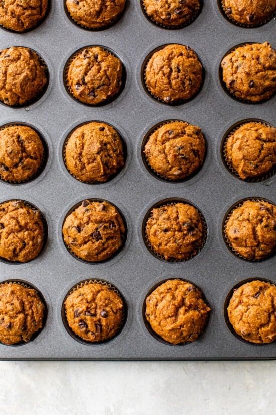 Mini Pumpkin Chocolate Chip Muffins