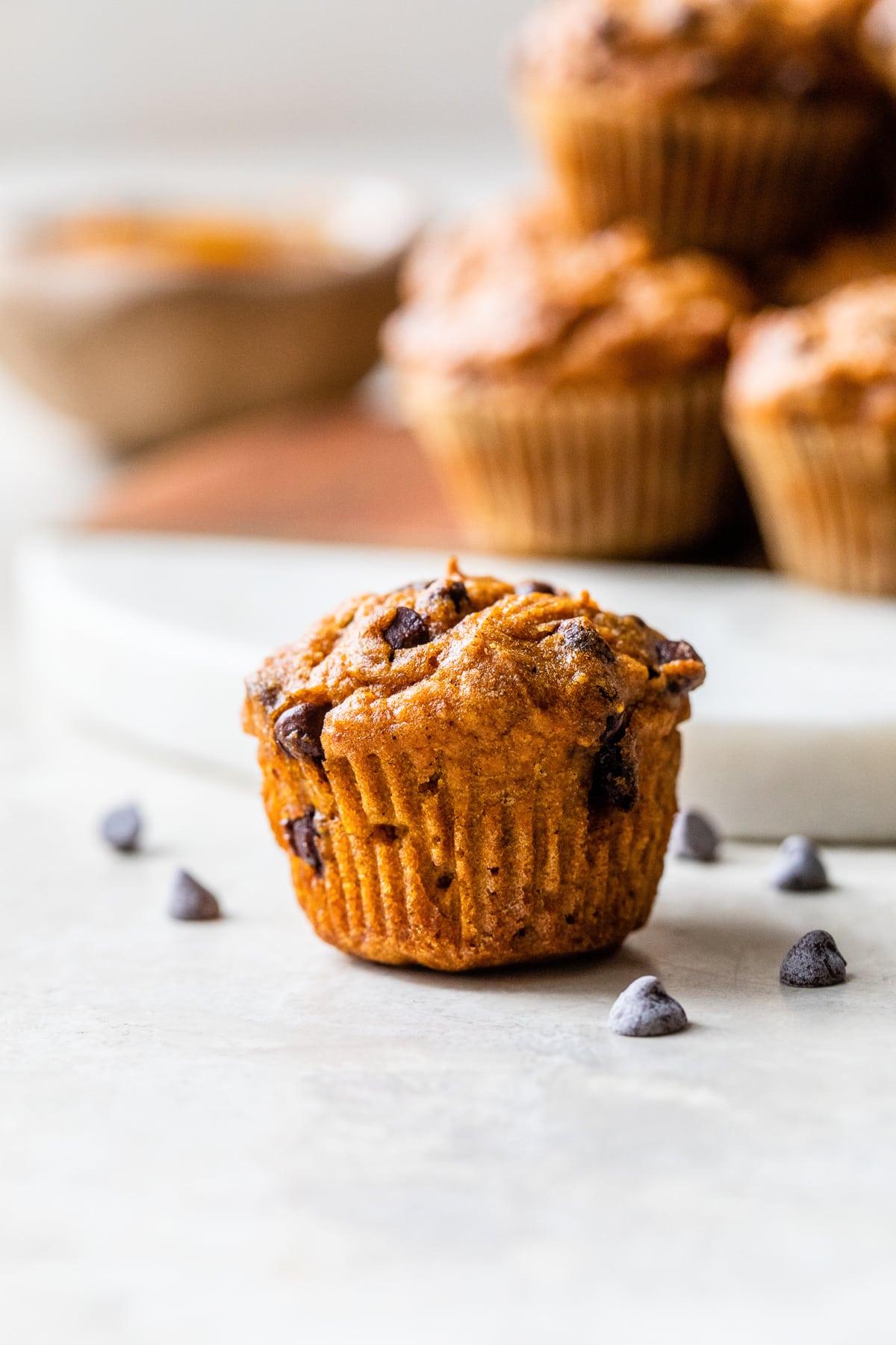 Pumpkin Chocolate Chip Muffins