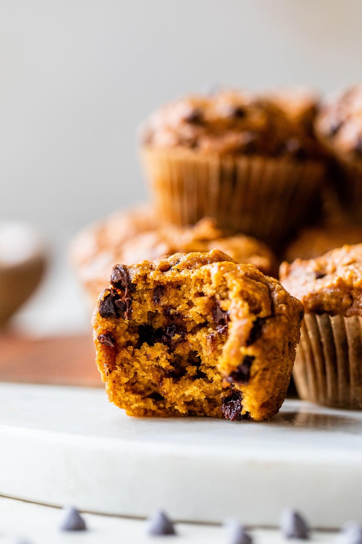 chocolate chip pumpkin muffin