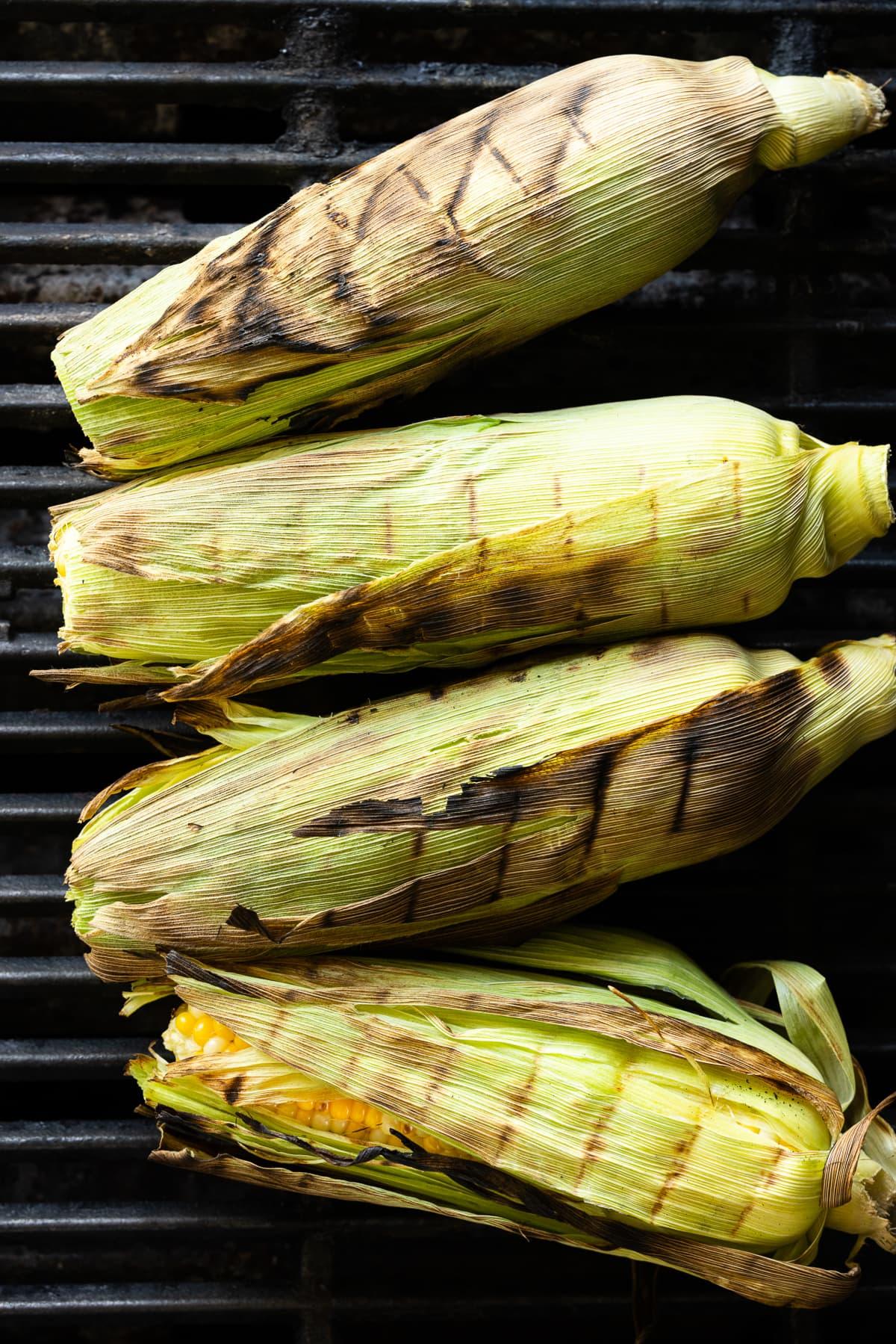 grilled corn in husk