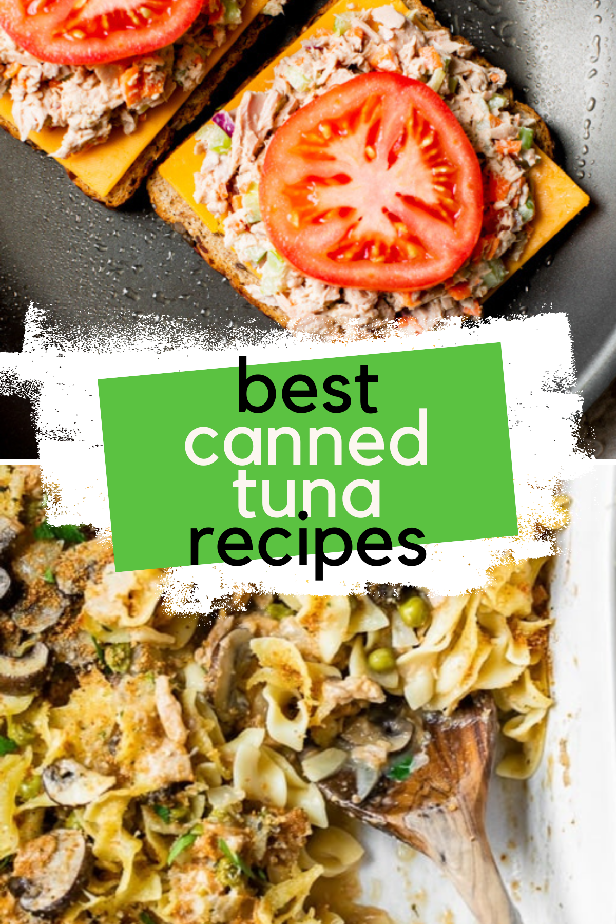 Canned Tuna Recipe roundup