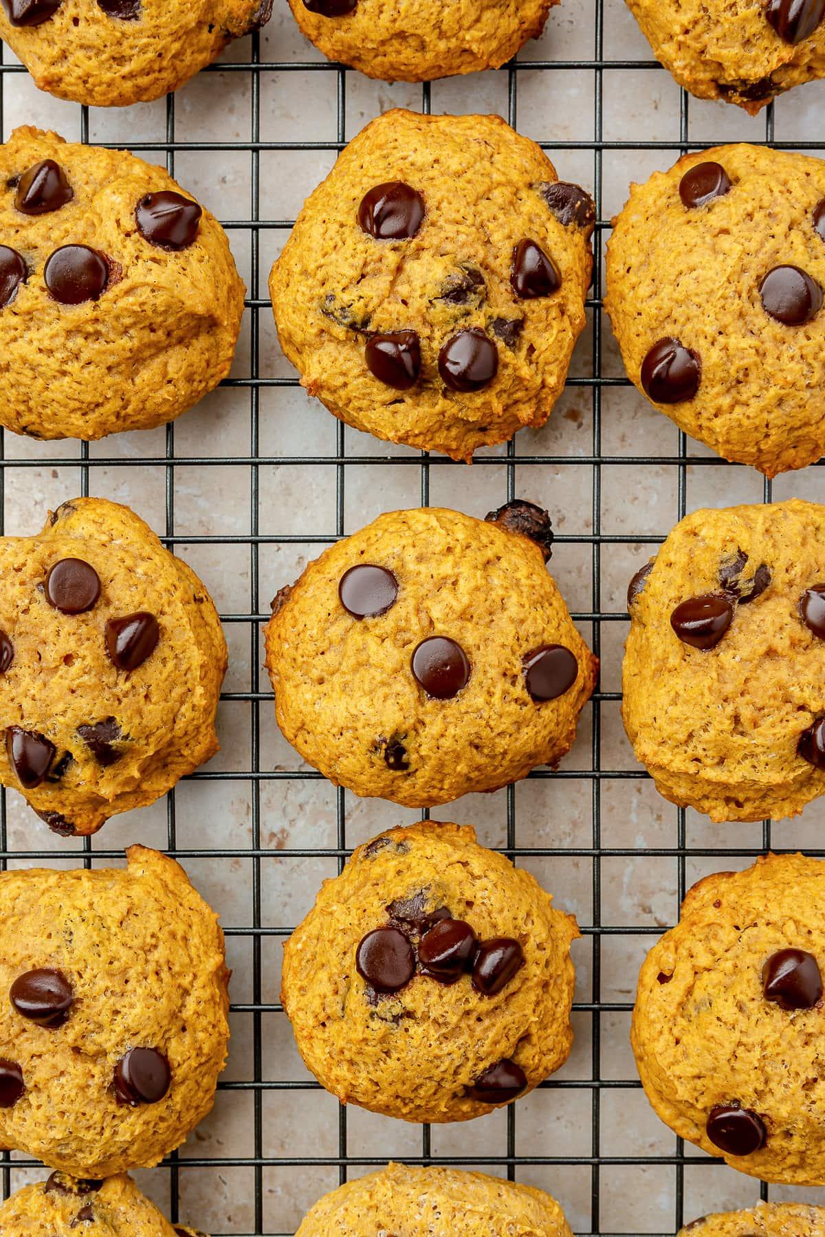 pumpkin chocolate chip cookies