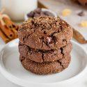 Gluten-free Chocolate Gingerbread Cookies