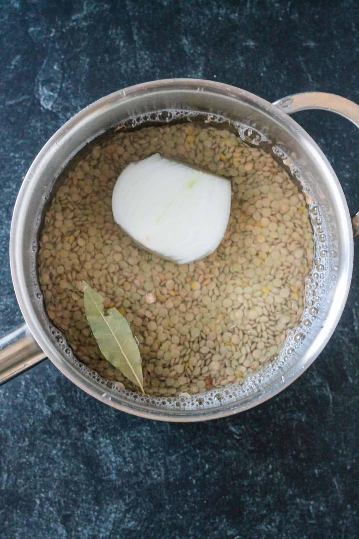 Uncooked lentils in a pot with water, onion, and a bay leaf.